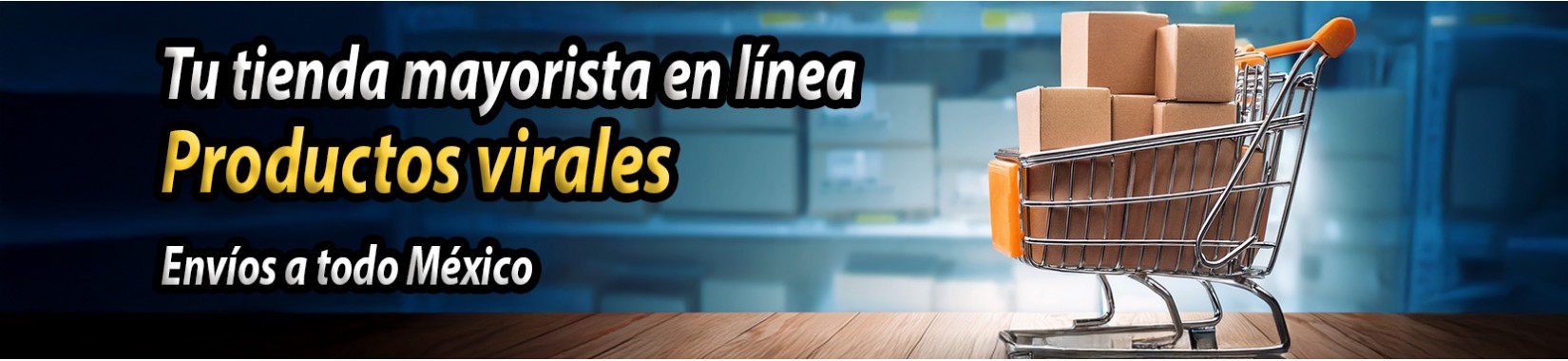 TIENDA MAYORISTA