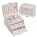 Organizador De Joyas,caja Organizador Arete,Collar,Pulsera Favorito,4 colores surtidos HZ69