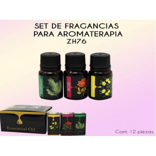 Paquete de esencias con 12 pzs de 10ml ZH76