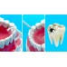 Cajas de Palillos de hilo dental tipo flosser ultrafinos Portátiles, resistentes y fáciles de usar. para limpieza interdental. Por Mayoreo 342-7