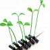 Clips decorativos en forma de brote de planta – Diseño creativo tipo hoja – Estilo natural para documentos o papelería  pinza para flequillo o cabello. Por Mayoreo C4-055