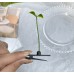 Clips decorativos en forma de brote de planta – Diseño creativo tipo hoja – Estilo natural para documentos o papelería  pinza para flequillo o cabello. Por Mayoreo C4-055