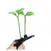Clips decorativos en forma de brote de planta – Diseño creativo tipo hoja – Estilo natural para documentos o papelería  pinza para flequillo o cabello. Por Mayoreo C4-055