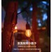 Serie de focos LED estilo vintage con cable resistente, ideal para decoración de terrazas, jardines,restaurantes o eventos al aire libre. De 10metros y de 10 focos  Por Mayoreo D-21823