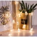 Guirnalda de luces LED cálidas en forma de campanita transparente, perfecta para decorar espacios elegantes, habitaciones, macetas o eventos especiales Por Mayoreo D-22092