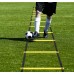 Kit de Entrenamiento Deportivo, Escalera de Agilidad con Conos y Estacas, Entrenamiento Funcional y Velocidad con vallas, equipo de fitness por Mayoreo TY227