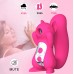 Dispositivo de succión en forma de ardilla con vibración de 10 frecuencias, Productos para adultos femeninos con carga USB Por Mayoreo WWY931