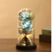 Ramo de rosas de jabón con luces LED cálidas en cúpula acrílica – Regalo romántico y decorativo – Por Mayoreo LED946