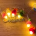 Serie de luces decorativas LED USB 2 metros con 10 focos y gorritos tejidos multicolor venta por mayoreo ZFM-0152