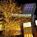 Serie solar de 200 luces LED cálidas con 8 modos de iluminación. Longitud 20 m. Ideal para jardines, terrazas o ventanas. Resistente al agua y con carga solar. Venta por mayoreo