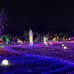 Serie de luces LED multicolor ideales para decoración navideña, fiestas, terrazas o habitaciones. Diseño de bajo consumo energético, cable resistente y enchufe seguro venta al por mayor  9001