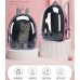 Mochila transportadora Back Pack transparente para gatos 33*40*18cm BAG52