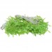 Cortina de luces LED en cascada con un diseño de enredadera de hojas, luces decorativas. Venta al por mayor BD-0105C
