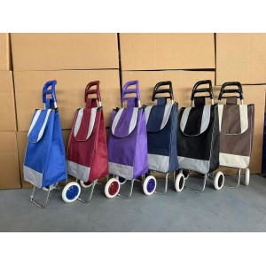 Carrito de compras plegable con bolsa de tela - Venta por mayoreo CAR24-BN
