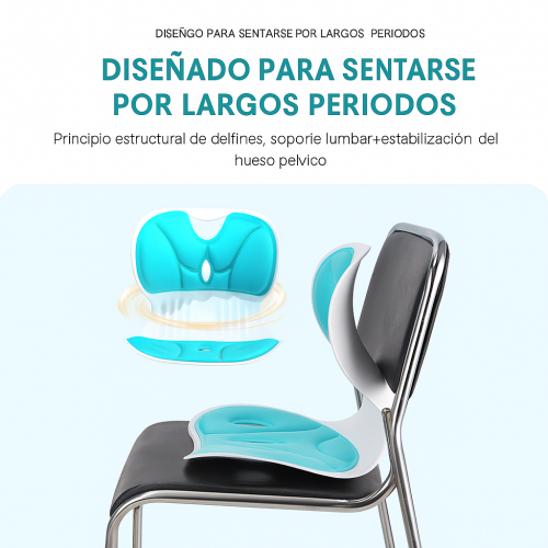 Disfruta de comodidad y alivio mientras trabajas o conduces con este cojín ergonómico ortopédico, diseñado para mantener una postura correcta y reducir el dolor lumbar y de coxis Venta al por mayor CL-3007 Disfruta de comodidad y alivio mientras trabajas o conduces con este cojín ergonómico ortopédico, diseñado para mantener una postura correcta y reducir el dolor lumbar y de coxis Venta al por mayor CL-3007