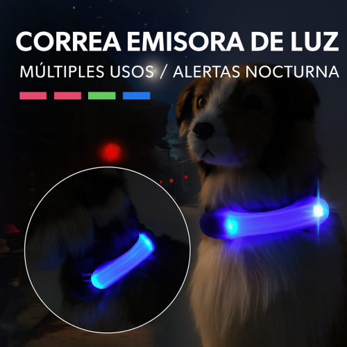 Collar luminoso LED ajustable para perros y gatos. Perfecto para paseos nocturnos, brinda seguridad y visibilidad en la oscuridad venta al por mayor CW53