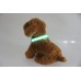 Collar con luz para mascotas CW59