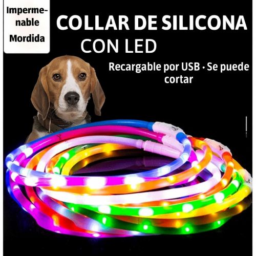 Collar LED tubular 360° para perros y gatos, con luces multicolor intermitentes. Ajustable, recargable por USB y resistente al agua venta al por mayor CW60