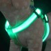Perchera luminosa para mascotas, LED, multicolor, ajustable, recargable por USB mayoreo CW67