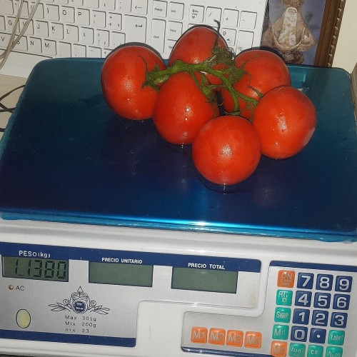 Báscula electrónica digital de mostrador para comercio, 40kg con cálculo de precio y pantalla doble, venta al por mayor FERRBAS