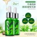 suero facial té verde con extracto de arroz, hidratante y nutritivo, cuidado natural de la piel, venta por mayoreo HC57515