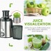 Extractor de jugos eléctrico con cuchillas de acero inoxidable, motor de alta potencia, ideal para frutas y verduras. Venta por mayoreo LJ-0232