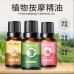 Aceites esenciales de masaje corporal 10ml para SPA al por mayor LK-11