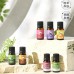 Aceites esenciales de masaje corporal 10ml para SPA al por mayor LK-11