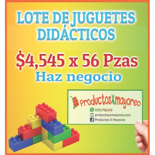 Lote de juguetes didácticos