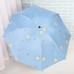 Paraguas infantil plegable azul con diseño de osos sonrientes y estrellas, ligero y con protección UV, venta al por mayor zds06