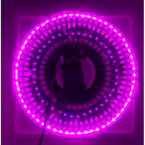 Serie led con 100L de 6M con música color rosa S-60026