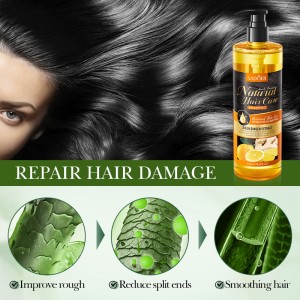 Shampoo Sadoer con jengibre y limón 520ml, reparación capilar, antidaño y puntas abiertas al por mayor – SD16706