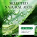 Bandas depilatorias Sadoer con extracto de aloe vera – Cera fría para brazos, piernas y zona bikini – Depilación rápida, suave y duradera hasta por 6 semanas Venta al por mayor  SD87853