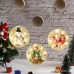 Luces Led De Navidad SDD103