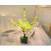 Árbol con luces LED para decorar de 50cm (pilar+usb) SDD1237