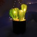 Lámpara de planta de cactus USB para decoración 13*13*30 SDD1277