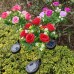 Luces solares rosas decorativas para jardín y exteriores al por mayor SDD1332