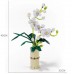 Set de Construcción de flores Phalaenopsis con maceta de 588pzs 40*35cm TOY760