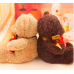 Peluche oso 30 cm TOY876