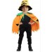 CONJUNTO DE CAPA CON SOMBRERO DE HALLOWEEN CALABAZA,Capa 68cm,Sombrero 31*30cm WS200