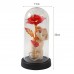 Rosa eterna artificial con peluche decorativo y luces LED multicolor. Ideal como regalo romántico para aniversarios, San Valentín para venta al por mayor. XH-0503