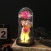 Rosa eterna artificial con peluche decorativo y luces LED multicolor. Ideal como regalo romántico para aniversarios, San Valentín para venta al por mayor. XH-0503