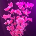 Árbol de luz LED decorativo 1.8 metros rosa, ideal para decoración de interiores y exteriores. venta por mayoreo ZFM-0097