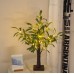 Árbol de Olivo con luces led para decorar de 55CM de 33LED con cable USB o pilar de doble uso SDD1199